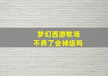 梦幻西游牧场不养了会掉级吗