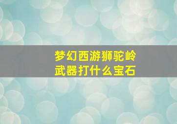 梦幻西游狮驼岭武器打什么宝石