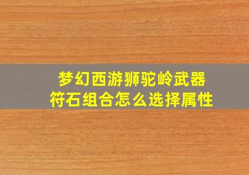 梦幻西游狮驼岭武器符石组合怎么选择属性