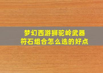 梦幻西游狮驼岭武器符石组合怎么选的好点