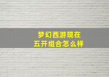 梦幻西游现在五开组合怎么样