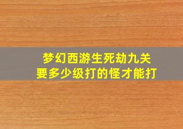 梦幻西游生死劫九关要多少级打的怪才能打