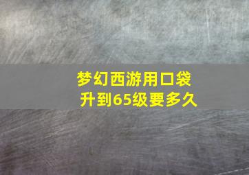 梦幻西游用口袋升到65级要多久