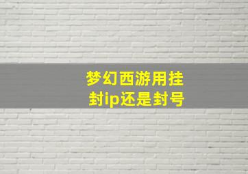 梦幻西游用挂封ip还是封号