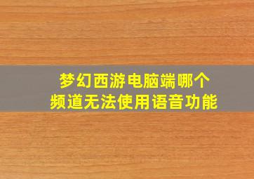 梦幻西游电脑端哪个频道无法使用语音功能