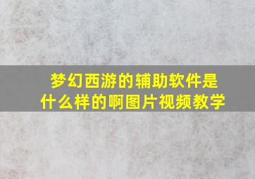 梦幻西游的辅助软件是什么样的啊图片视频教学