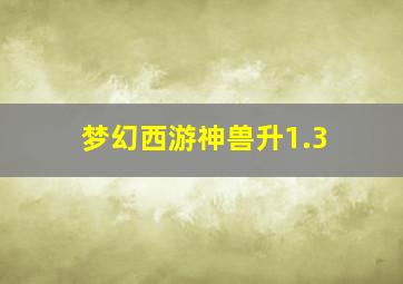 梦幻西游神兽升1.3