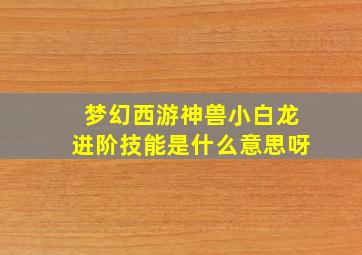 梦幻西游神兽小白龙进阶技能是什么意思呀