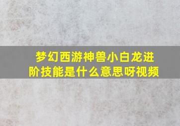 梦幻西游神兽小白龙进阶技能是什么意思呀视频