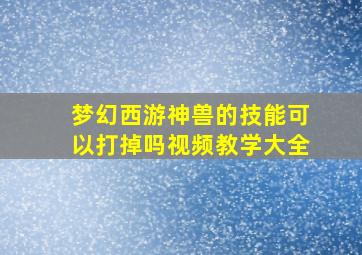 梦幻西游神兽的技能可以打掉吗视频教学大全