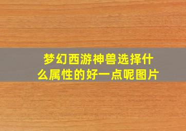 梦幻西游神兽选择什么属性的好一点呢图片