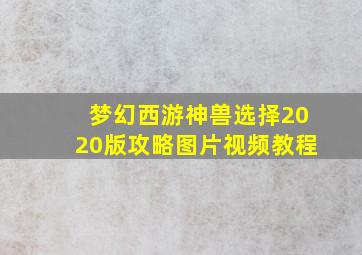 梦幻西游神兽选择2020版攻略图片视频教程