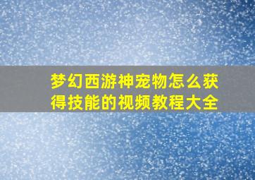 梦幻西游神宠物怎么获得技能的视频教程大全