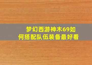 梦幻西游神木69如何搭配队伍装备最好看