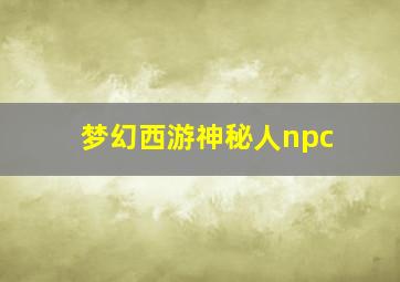 梦幻西游神秘人npc