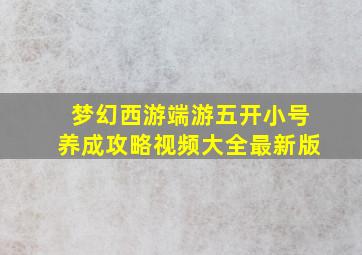 梦幻西游端游五开小号养成攻略视频大全最新版