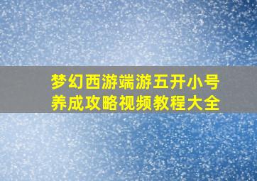 梦幻西游端游五开小号养成攻略视频教程大全