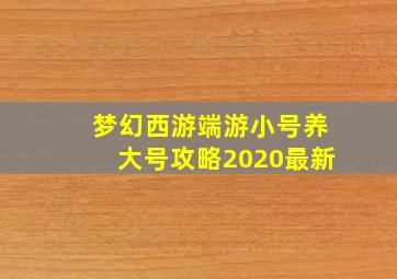 梦幻西游端游小号养大号攻略2020最新