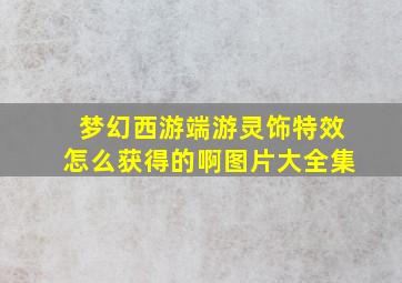 梦幻西游端游灵饰特效怎么获得的啊图片大全集