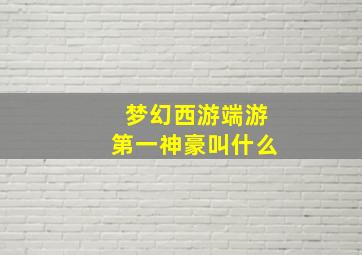 梦幻西游端游第一神豪叫什么