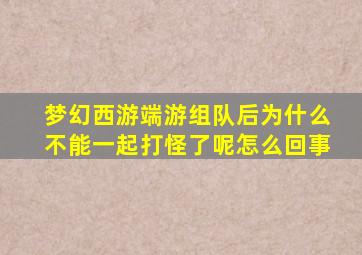 梦幻西游端游组队后为什么不能一起打怪了呢怎么回事