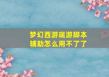 梦幻西游端游脚本辅助怎么用不了了