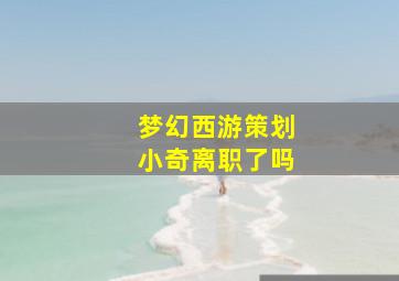 梦幻西游策划小奇离职了吗