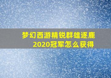 梦幻西游精锐群雄逐鹿2020冠军怎么获得