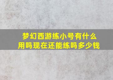 梦幻西游练小号有什么用吗现在还能练吗多少钱