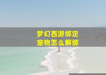 梦幻西游绑定宠物怎么解绑