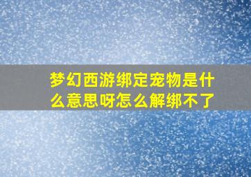 梦幻西游绑定宠物是什么意思呀怎么解绑不了