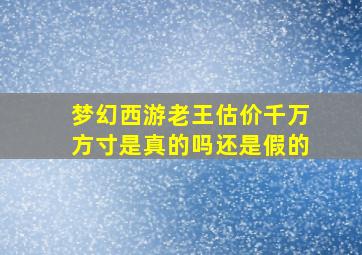 梦幻西游老王估价千万方寸是真的吗还是假的