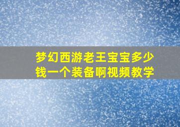 梦幻西游老王宝宝多少钱一个装备啊视频教学