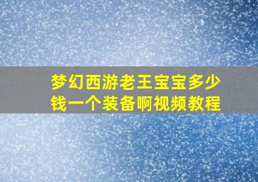 梦幻西游老王宝宝多少钱一个装备啊视频教程