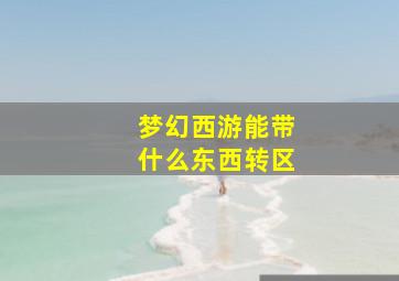 梦幻西游能带什么东西转区