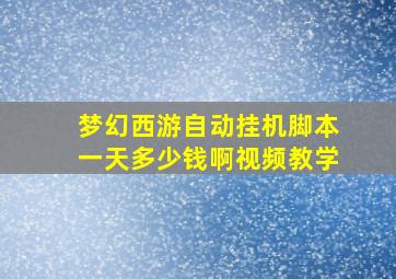 梦幻西游自动挂机脚本一天多少钱啊视频教学