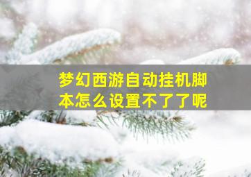 梦幻西游自动挂机脚本怎么设置不了了呢