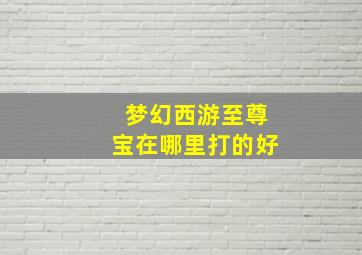 梦幻西游至尊宝在哪里打的好