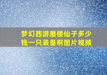 梦幻西游蜃楼仙子多少钱一只装备啊图片视频