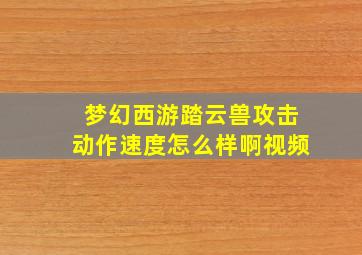 梦幻西游踏云兽攻击动作速度怎么样啊视频