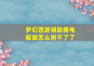 梦幻西游辅助器电脑版怎么用不了了