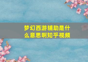 梦幻西游辅助是什么意思啊知乎视频