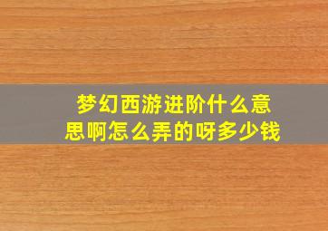 梦幻西游进阶什么意思啊怎么弄的呀多少钱