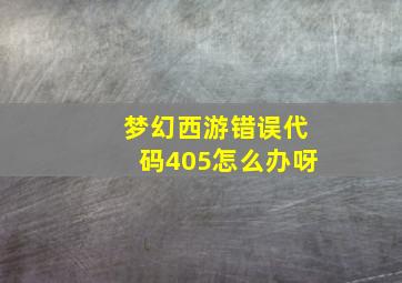 梦幻西游错误代码405怎么办呀