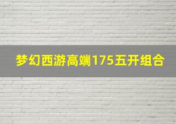 梦幻西游高端175五开组合