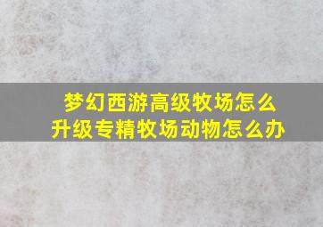 梦幻西游高级牧场怎么升级专精牧场动物怎么办