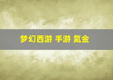 梦幻西游 手游 氪金