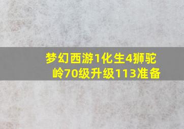 梦幻西游1化生4狮驼岭70级升级113准备