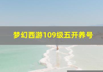 梦幻西游109级五开养号