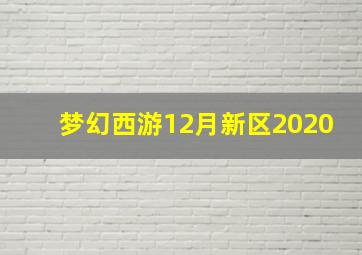 梦幻西游12月新区2020